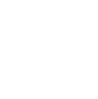 brand icon